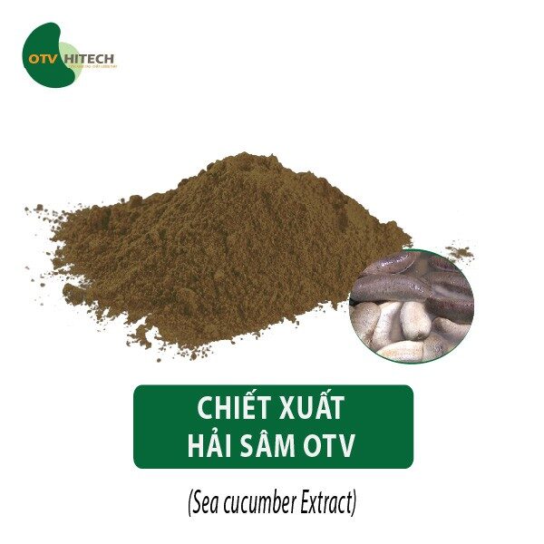 Bột chiết xuất Hải Sâm OTV (67)