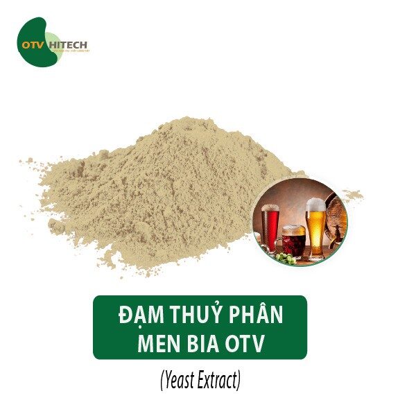 Đạm thuỷ phân Men Bia OTV