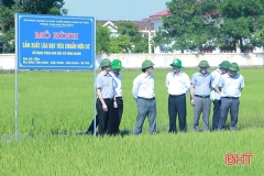 san-xuat-huu-co-o-ha-tinh-lay-chat-luong-de-chieu-long-thi-truong