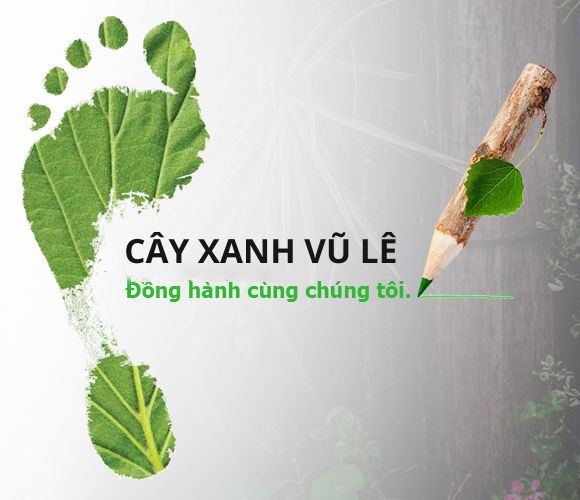 CAY XANH VU LE1